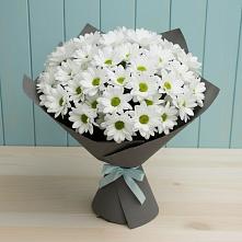 Букет цветов из:  Хризантемы #REPLACE_PRED# Мельниково