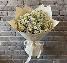 Букет цветов из:  Ромашки #REPLACE_PRED# Мельниково