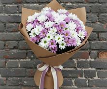 Букет цветов из:  Хризантемы #REPLACE_PRED# Мельниково