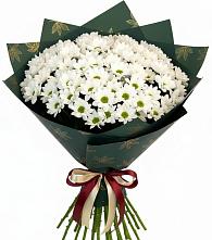 Букет цветов из:  Хризантемы #REPLACE_PRED# Мельниково