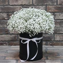 Цветочная композиция из Гипсофила в шляпной коробке #REPLACE_PRED# Мельниково