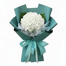 Букет цветов из:  Гортензия в Мельниково